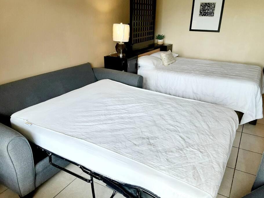 Beautiful One Bedroom Resort-Style Studio With Pool And Beach Access Ruskin Luaran gambar